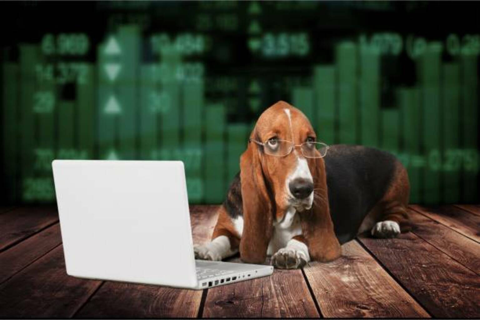 Datadog made offer to buy cloud cybersecurity startup Upwind - Information