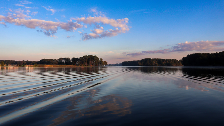 Think twice before swimming in Georgia's most snake-heavy lakes and rivers