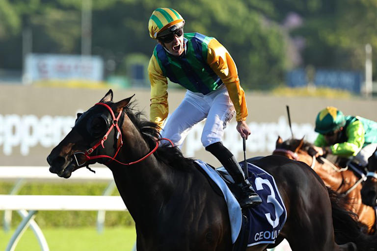 Track tensions, the Valley roar, and Daryl Braithwaite’s Horses: The ...