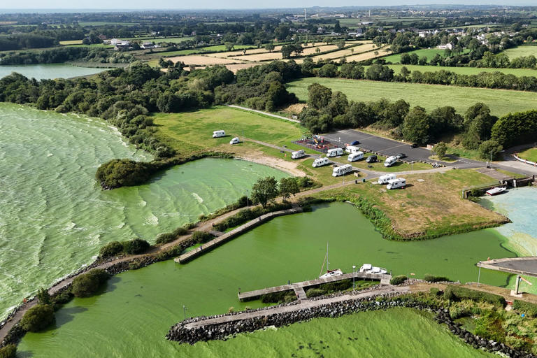 Call for Irish government to intervene in Lough Neagh crisis