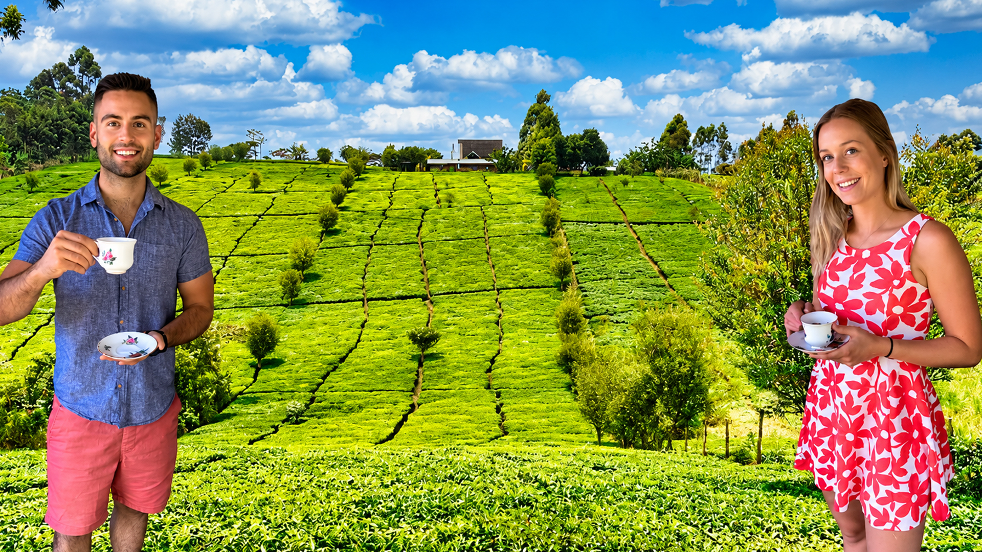 What living on a tea farm looks like