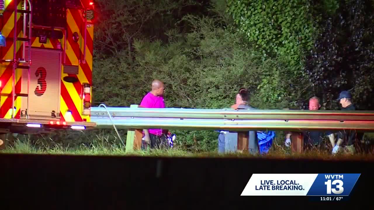 1 killed when car leaves I-459, hits tree, catches fire in Bessemer