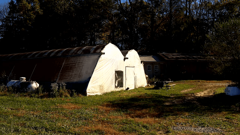 New USDA grant rules raise concerns for farmers over energy-saving projects