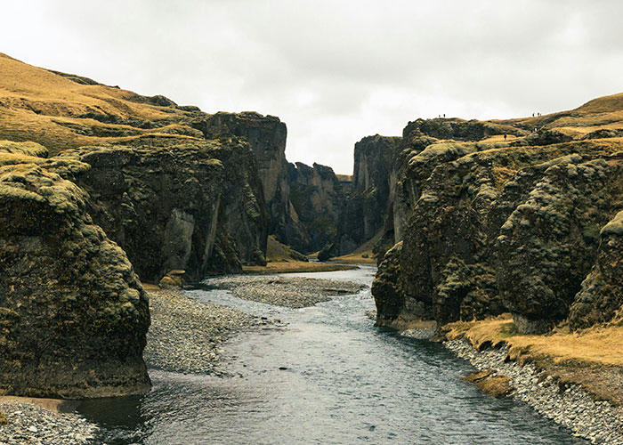37 surprising facts about animals, the human body, and more