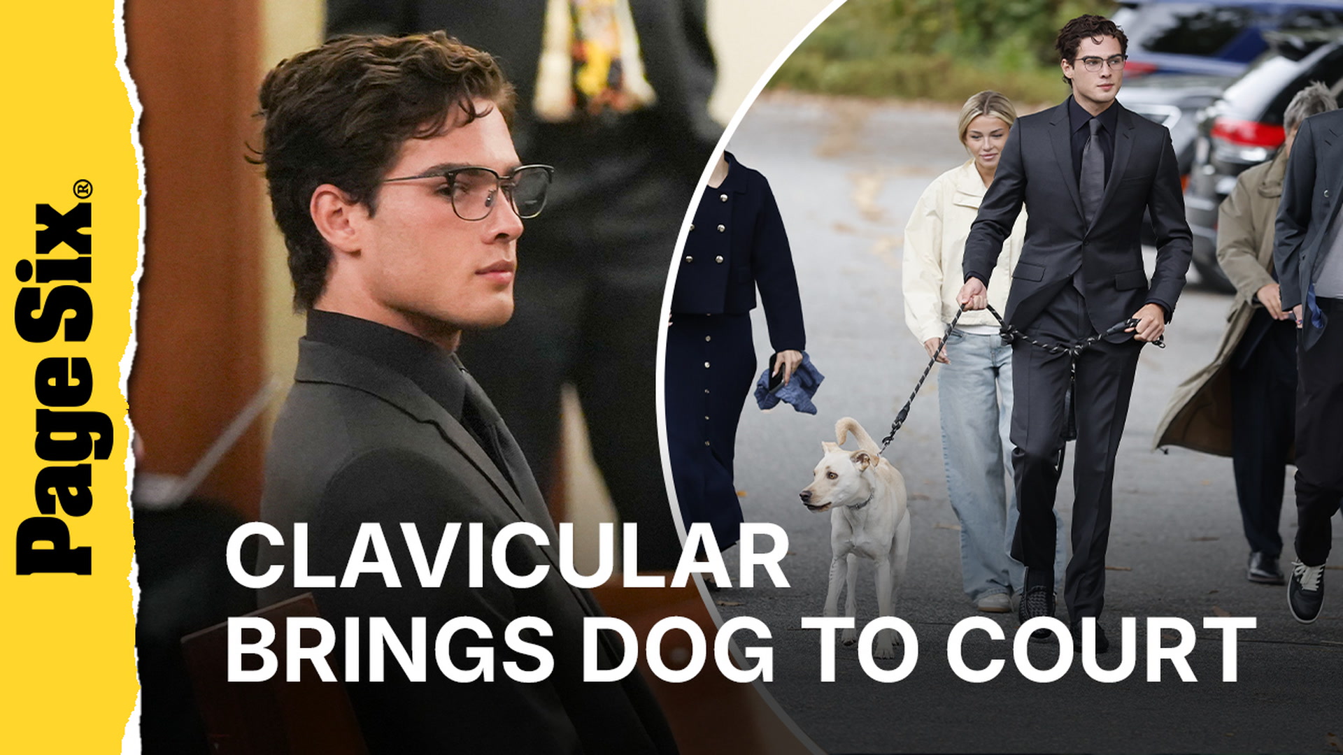'Looksmaxxing' influencer Clavicular brings barking dog to court for ...