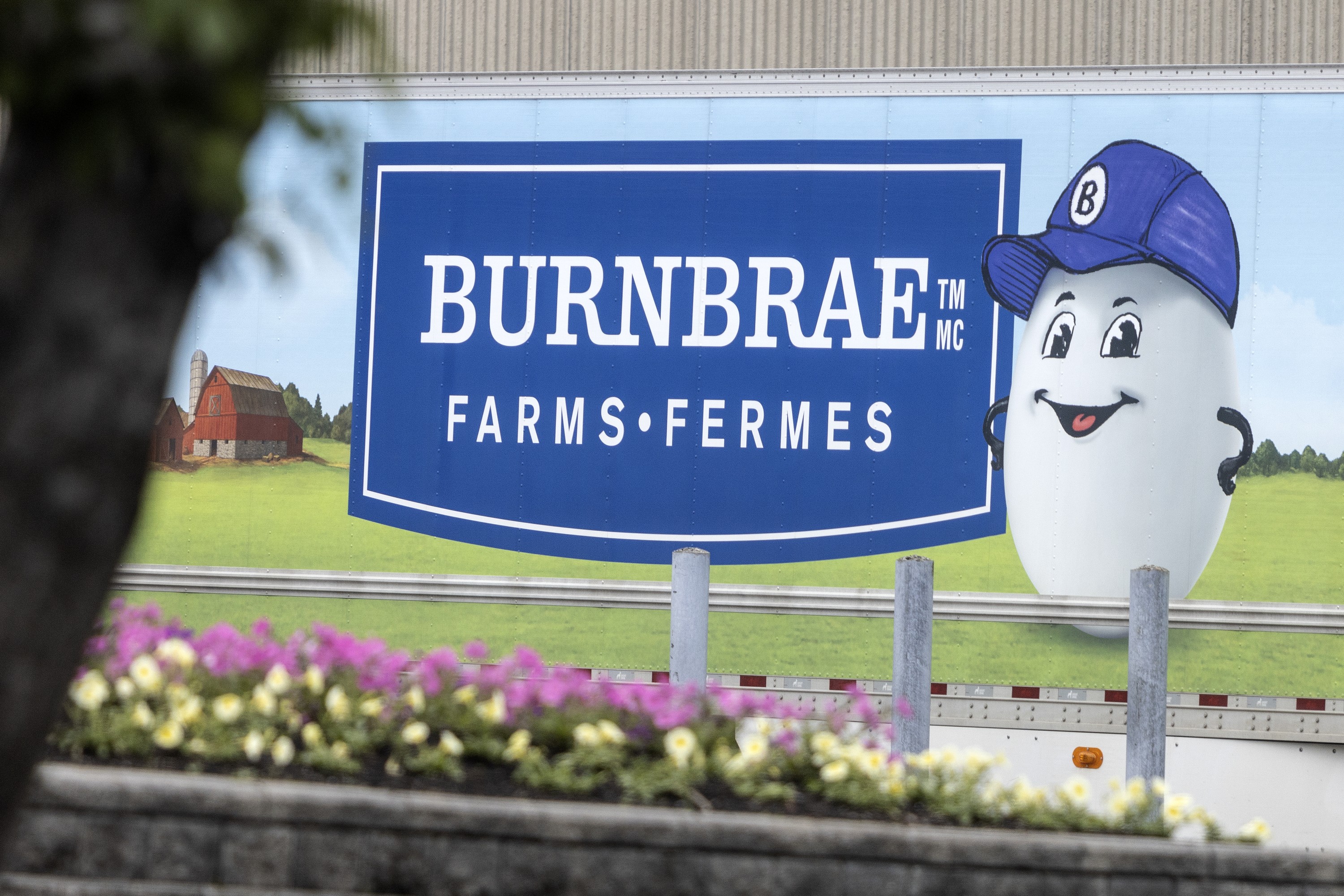 'Empty racks everywhere': Dispute at Quebec farm affecting egg supply ...
