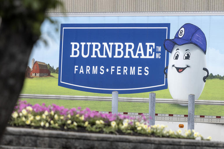 Labour dispute at Quebec’s Ferme St-Zotique affecting egg supply chain ...