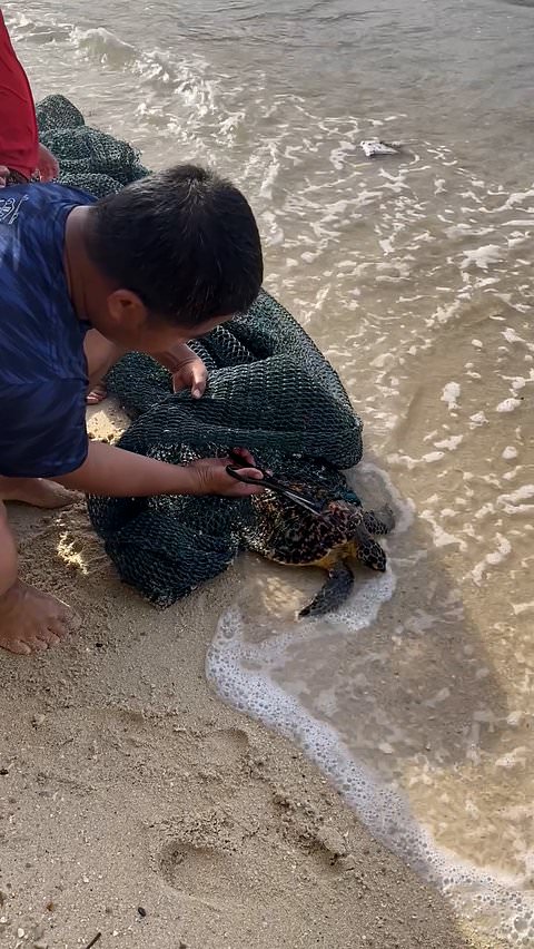 Father and son rescue sea turtle