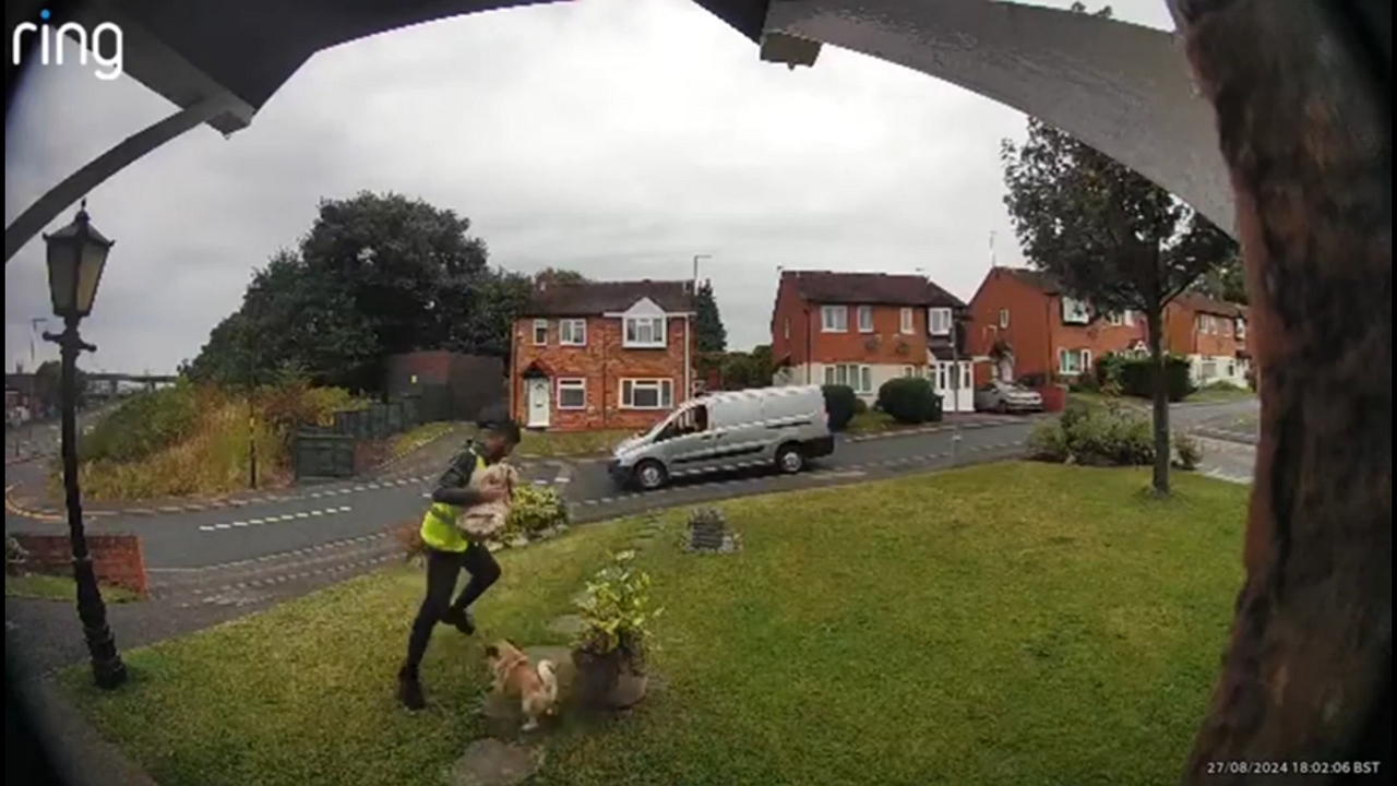 Pug playfully chases delivery man in Birmingham