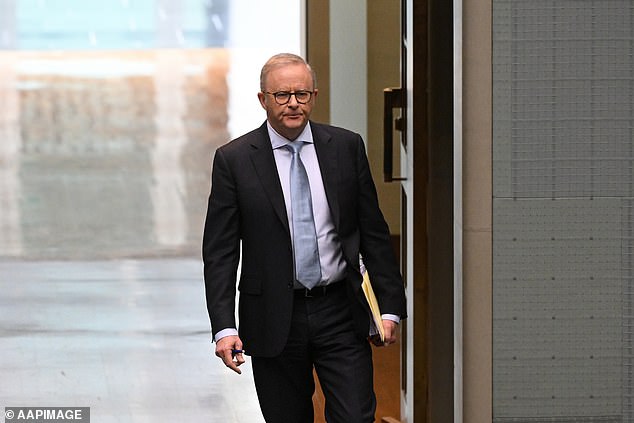 Helen Haines ally David Pocock unleashes on Albanese's dirt sheet ...