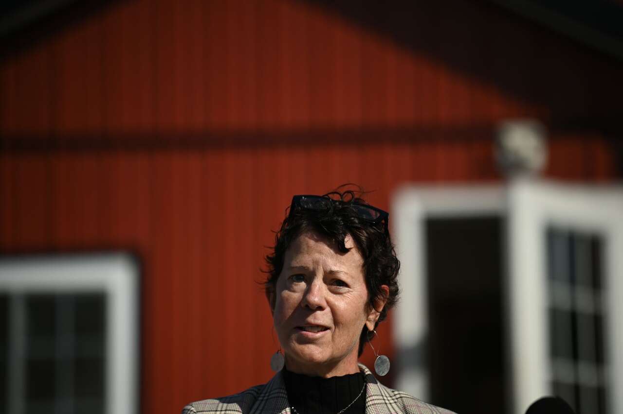 With a specific lawmaker in mind, Albany County voters asked to weigh ...