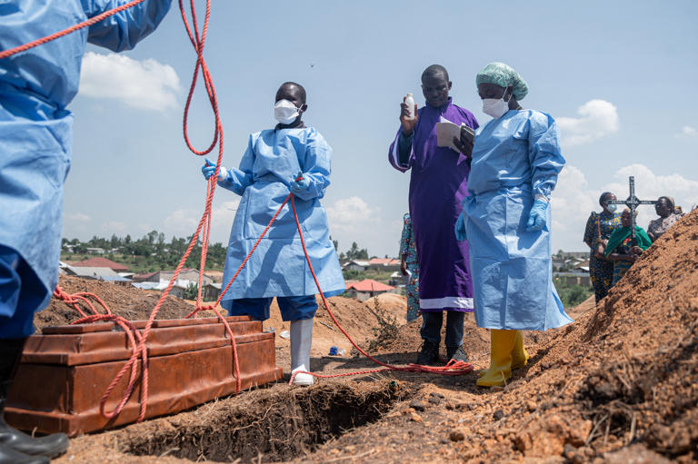 Ebola reaches West Africa for the 1st time in a decade — what happens now?