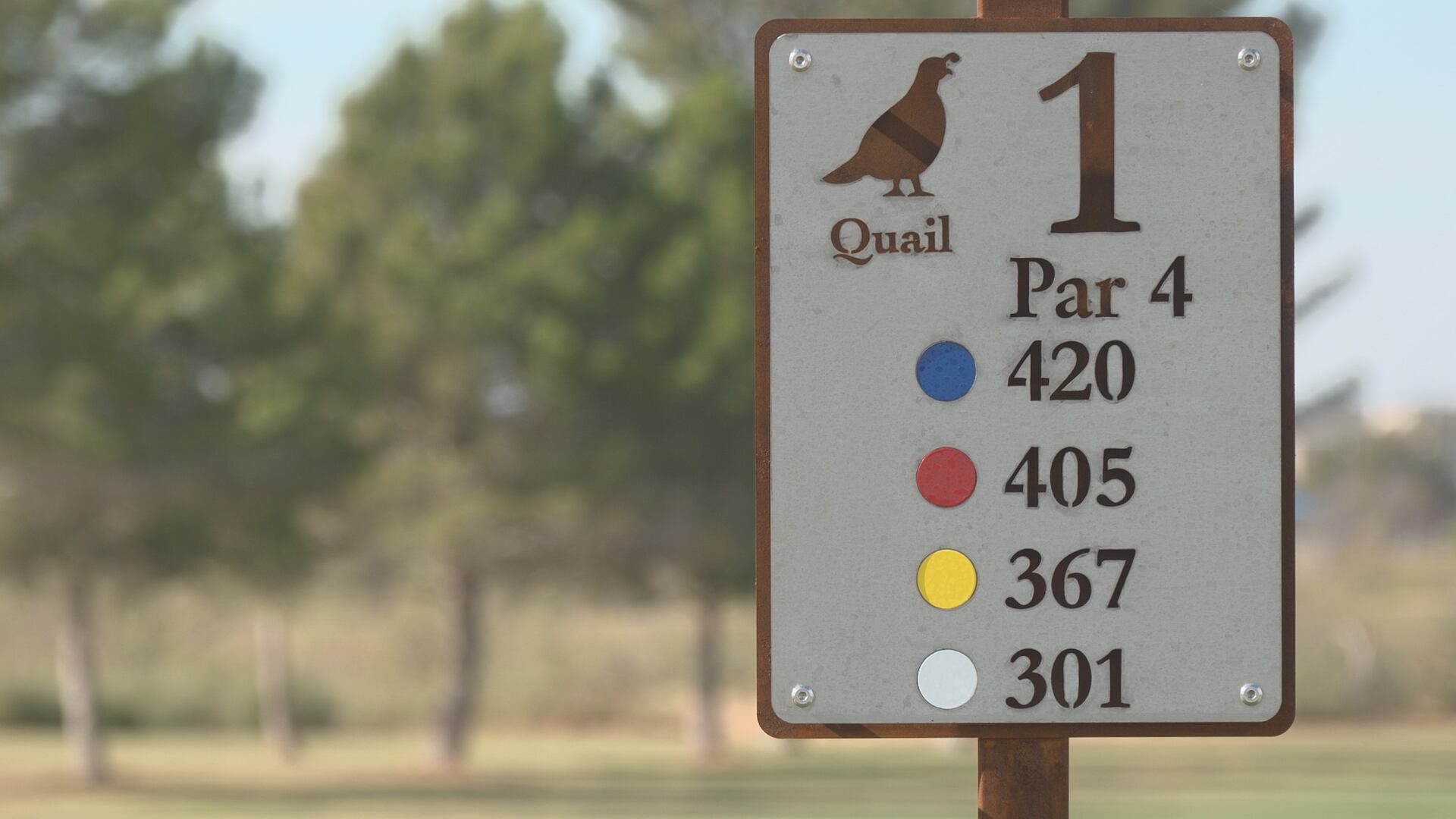 Renovated Quail golf course at Hogan Park reopens with ribbon-cutting