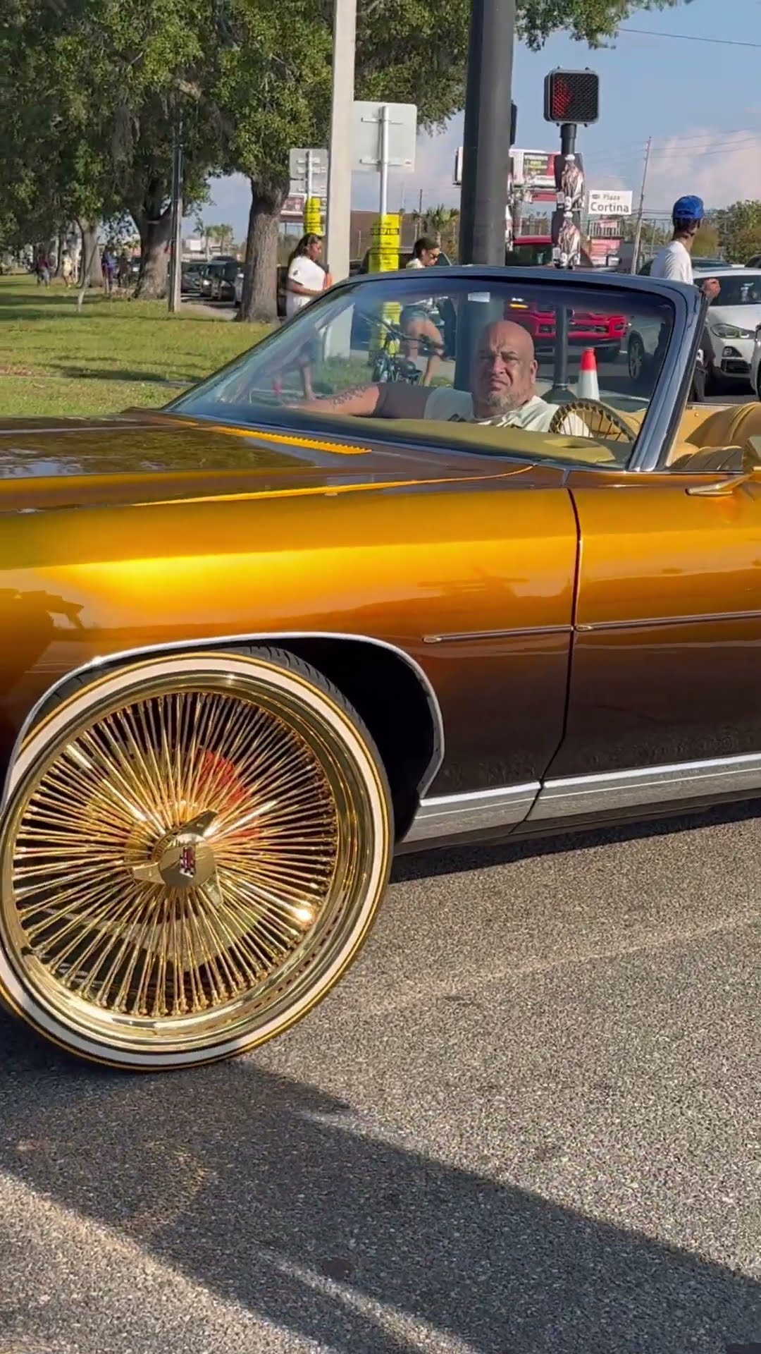 Candy gold 71 Chevy vert on gold 24’s Daytons