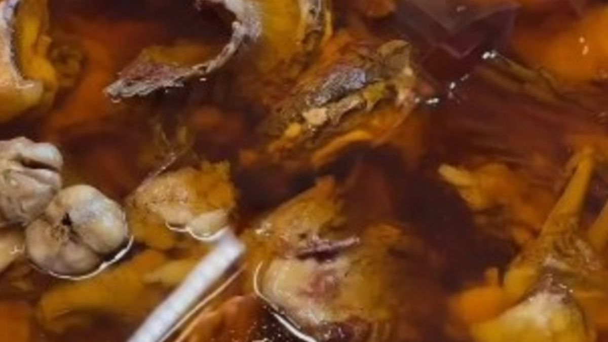 Mengulas quzi khas Irak di restoran Nadeem Najaf, kuliner simbol ...