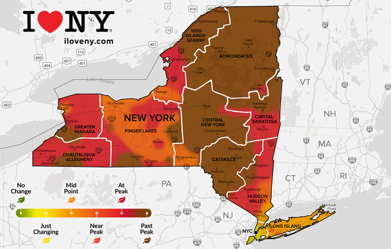 Fall foliage is nearing peak around Binghamton. See the latest map