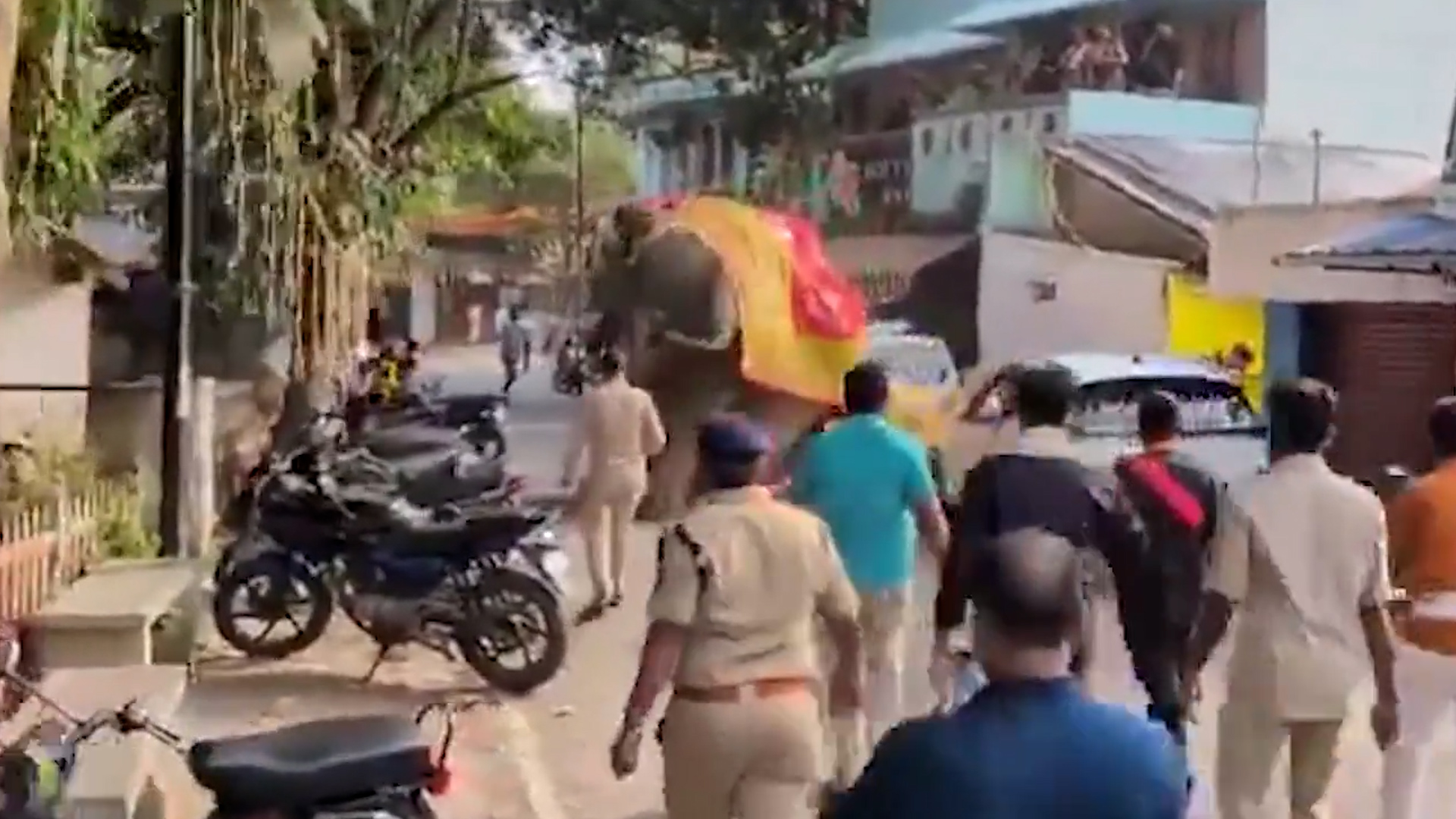 Elephant spooked by loud music runs amok at Indian festival
