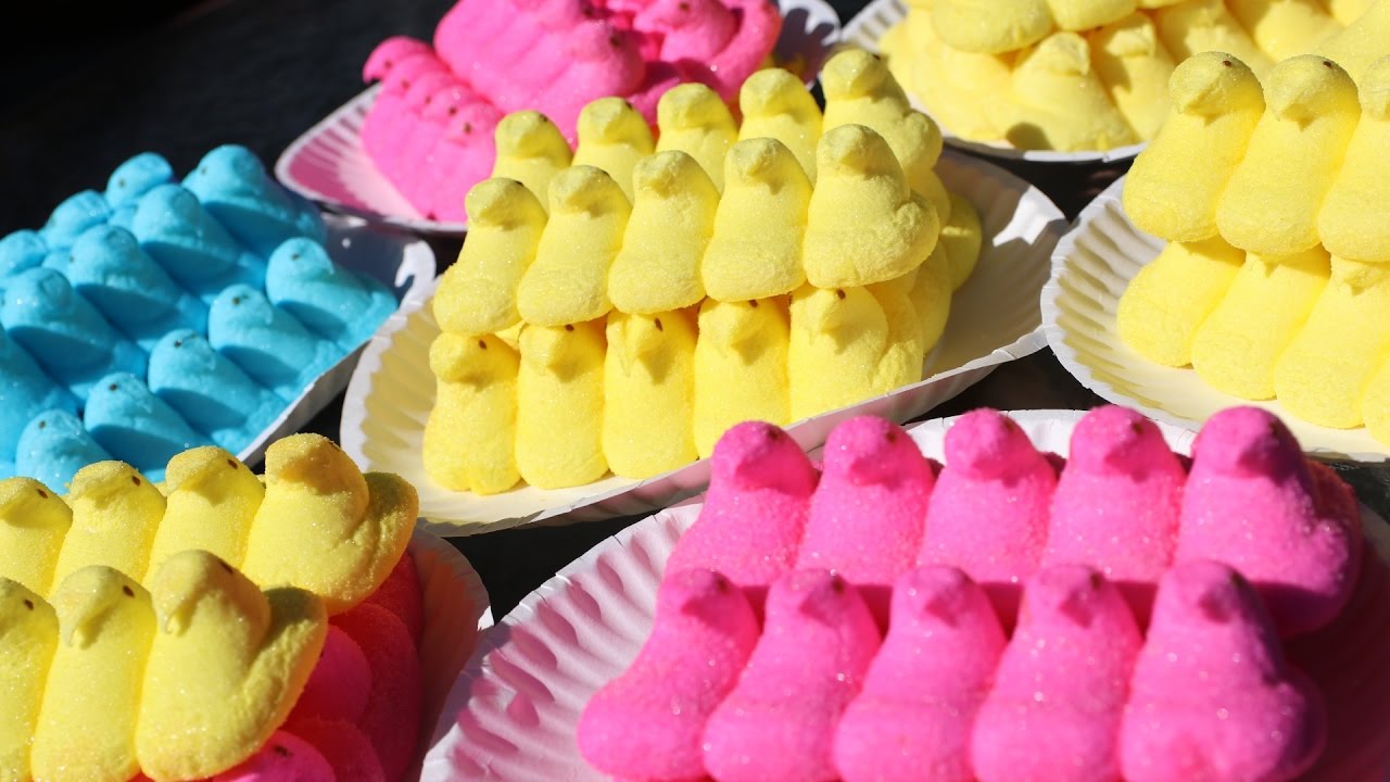 Matt Stonie eats 255 Peeps in 5 minutes (world record)