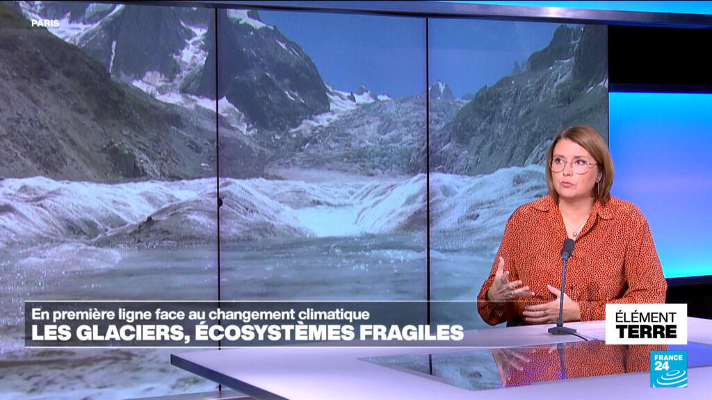 Les glaciers, des écosystèmes parmi les plus fragiles de la planète
