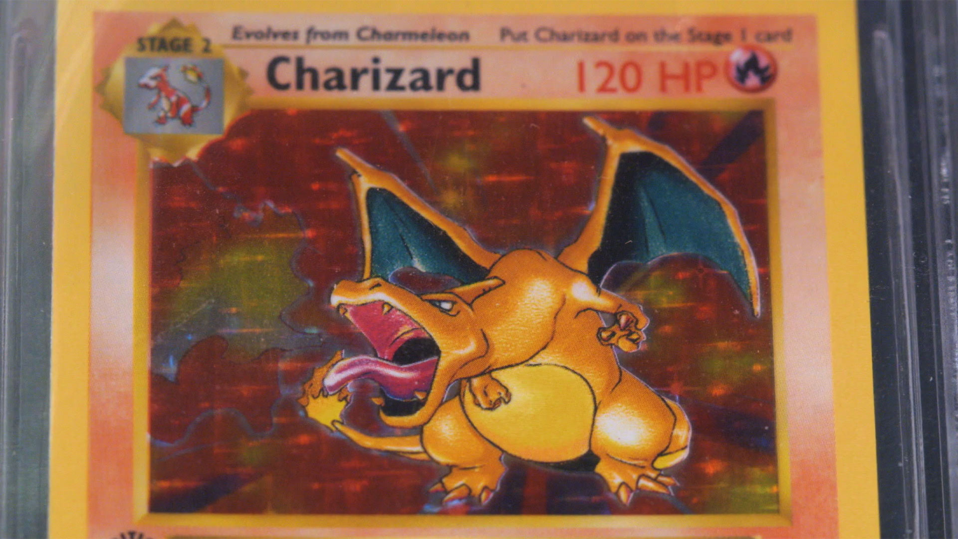 Stacks of pristine Charizard Pokemon cards | Pawn Stars