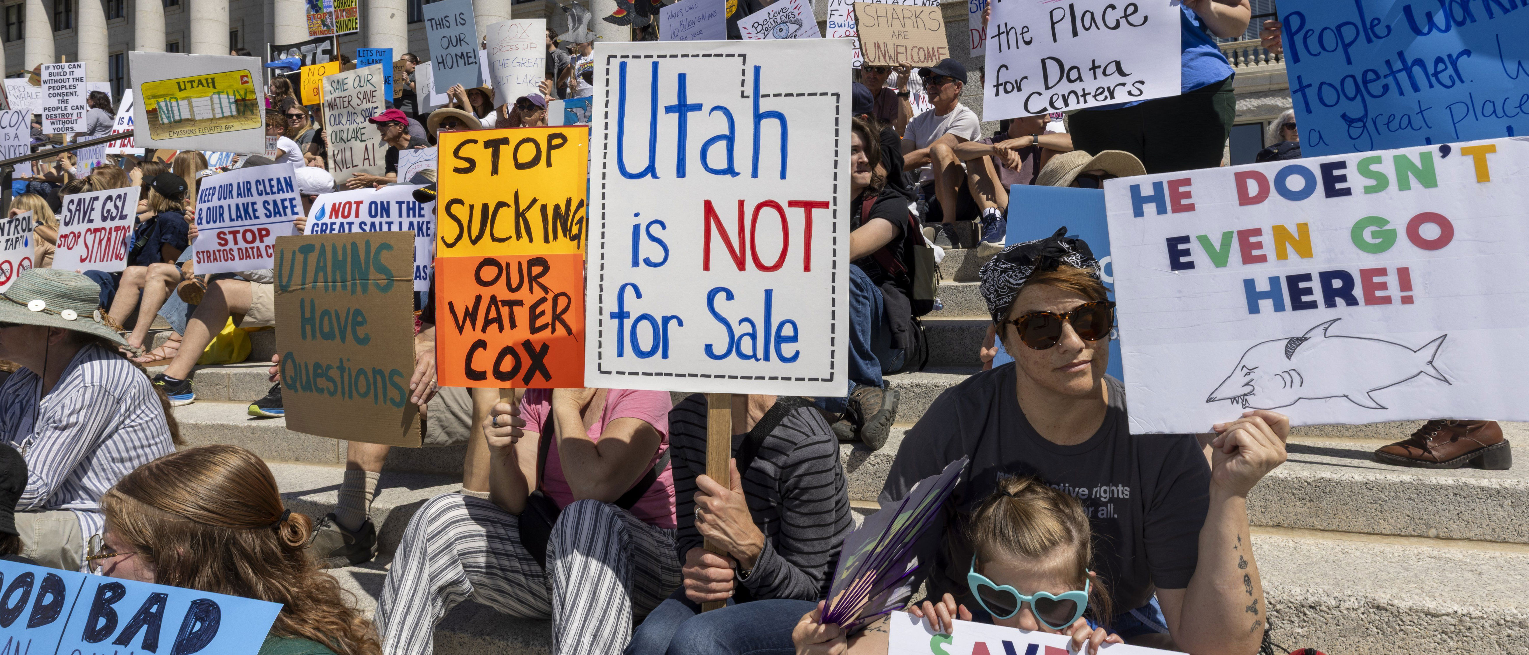 Data center protester accused of groin strike before deputy slammed her ...