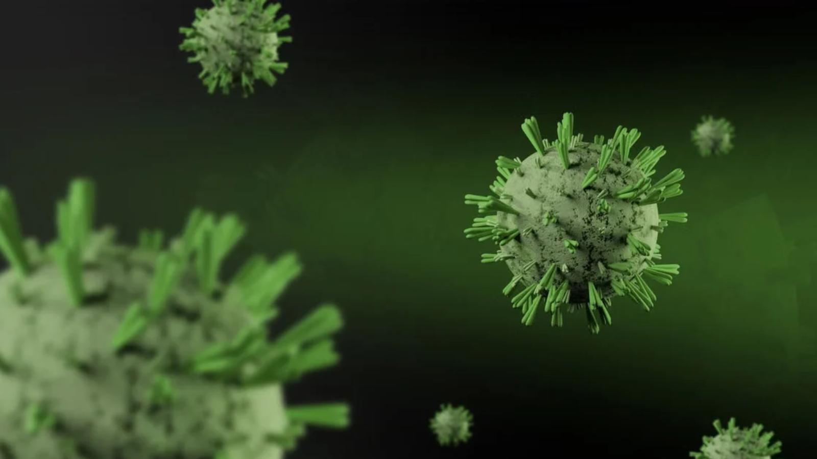 WHO chief confirms first human Shamonda virus infection after patient ...