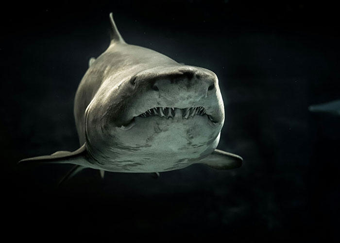 37 surprising facts about animals, the human body, and more