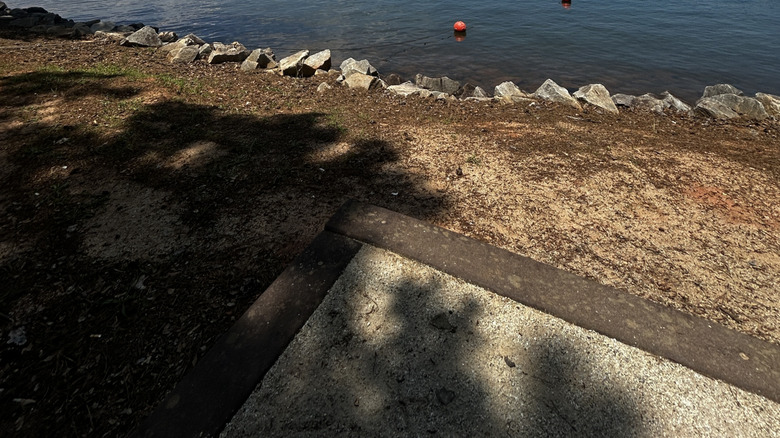 Think twice before swimming in Georgia's most snake-heavy lakes and rivers