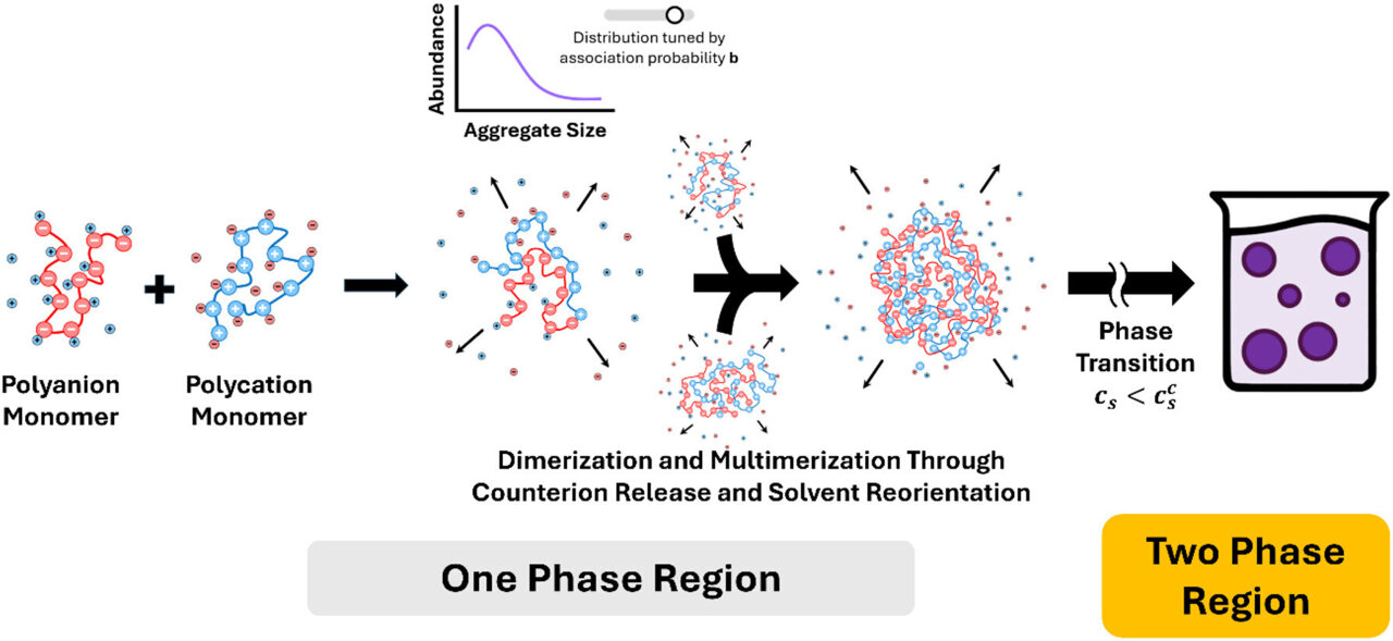 Clustering changes how charged polymers separate in water, challenging ...