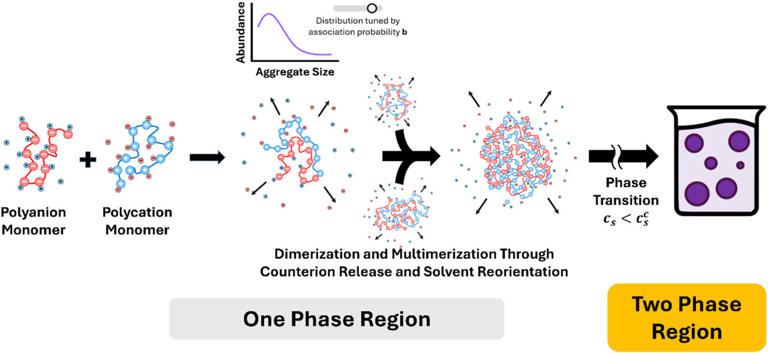 Clustering changes how charged polymers separate in water, challenging ...