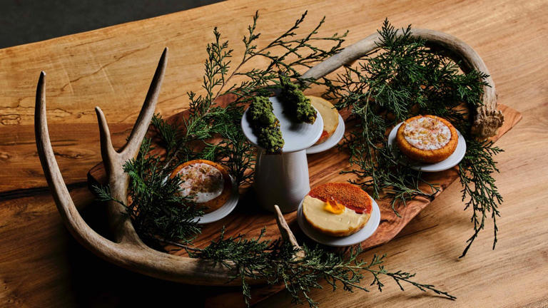 Six Georgia restaurants earn new distinctions in 2026 Michelin Guide ...