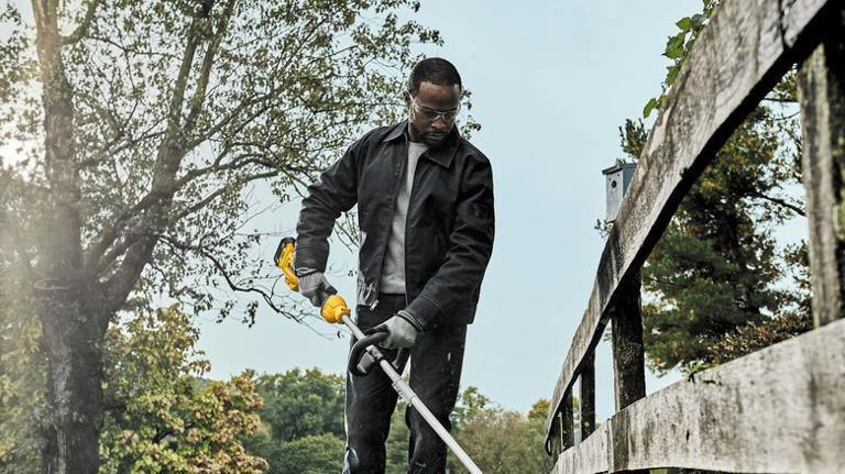 Common problems with DeWalt weed eaters (according to owners)