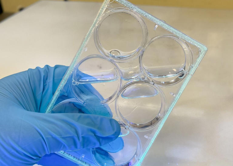 Nontoxic 'light-activated' compound shows promise for safer 3D printing ...