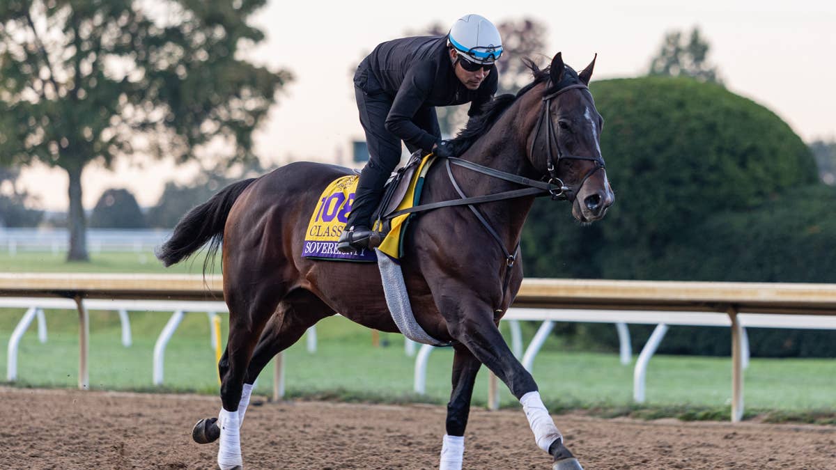 Breeders’ Cup hopefuls Sovereignty, Knightsbridge take first spin ...
