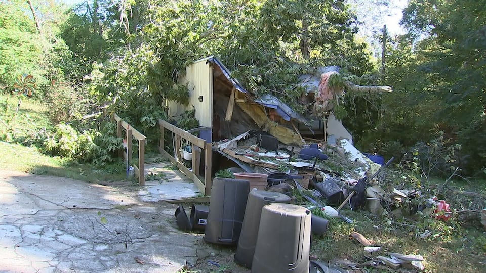 Mother’s warning saves family as tree falls through home and sparks fire