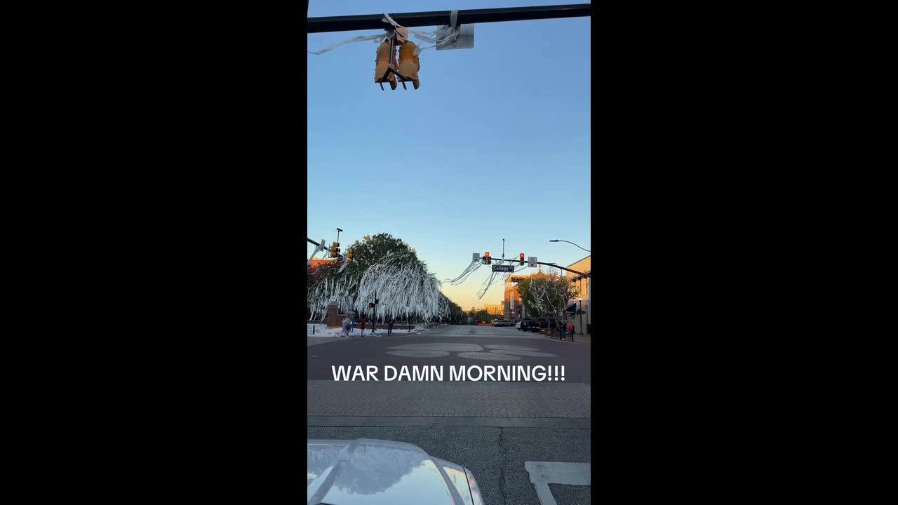 Auburn victory transforms Toomer’s Corner into sea of toilet paper