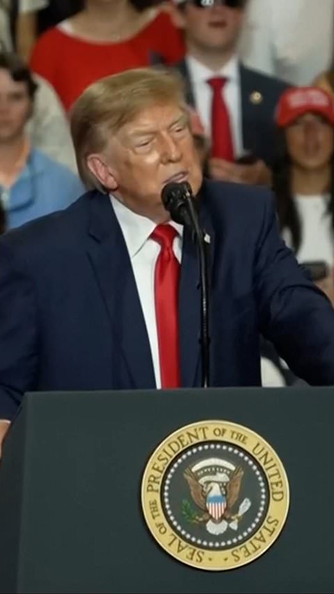 Trump praises attendee after protester is punched at rally