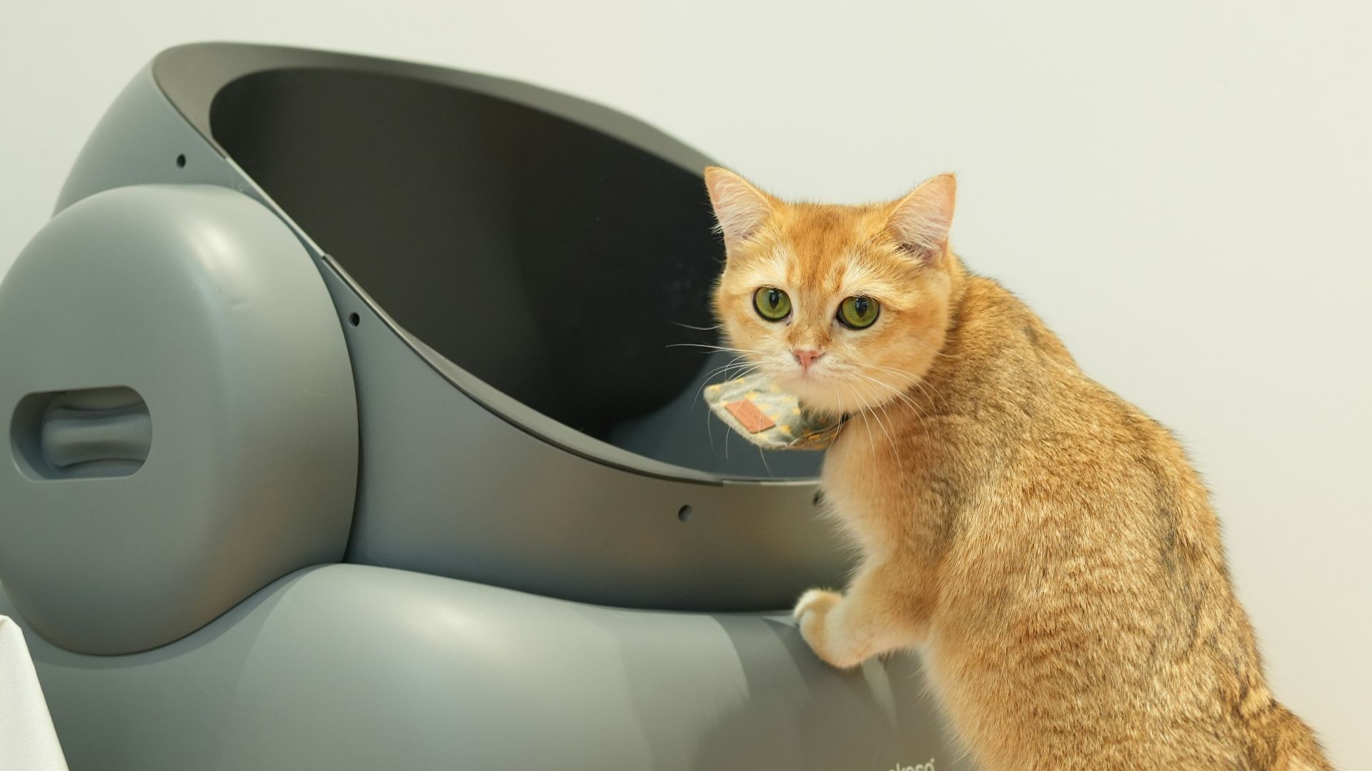20 things that instantly make a home feel unwelcoming