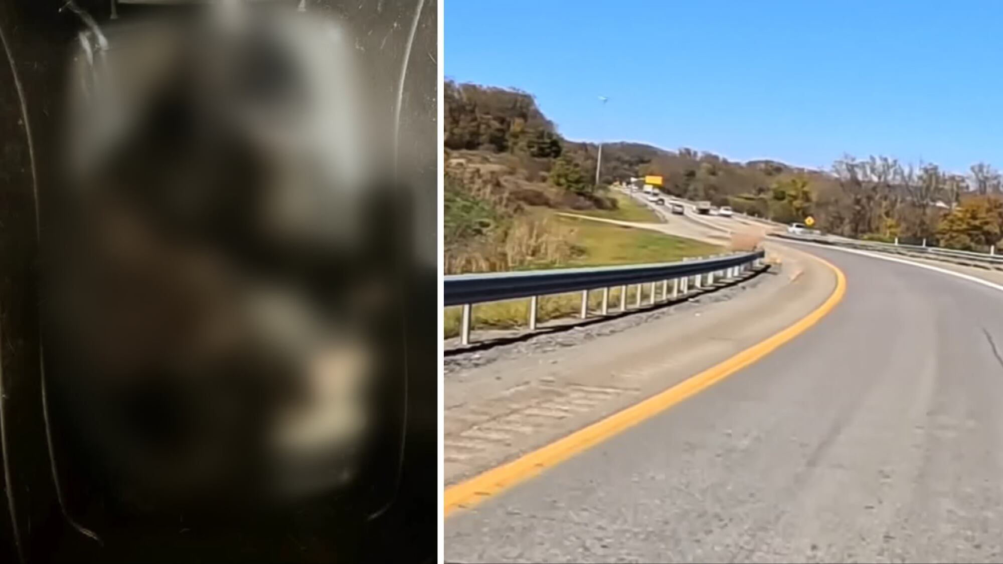 Cat dies after being thrown from moving vehicle on Pittsburgh-area highway