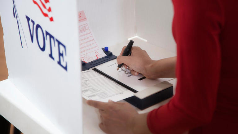 Election monitors will observe voting in Adams & Douglas, Colorado ...
