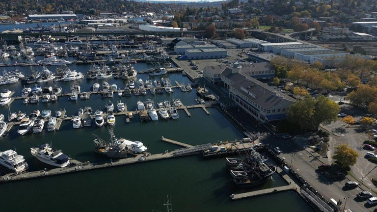 One Ocean Week Seattle brings global ocean leaders to the region
