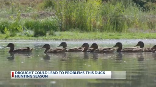 Drought conditions in Arkansas could lead to problems this duck hunting ...