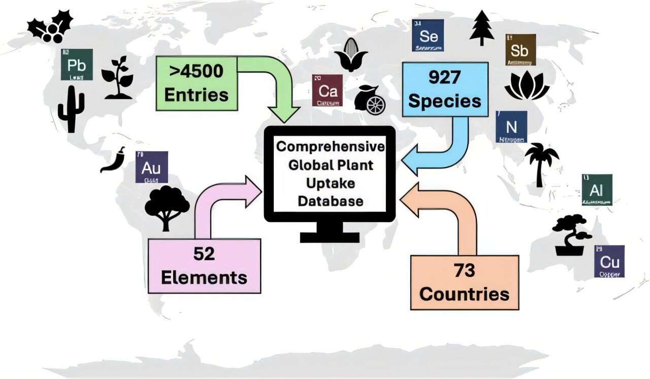 Global database provides a fuller picture of the elements that make up ...