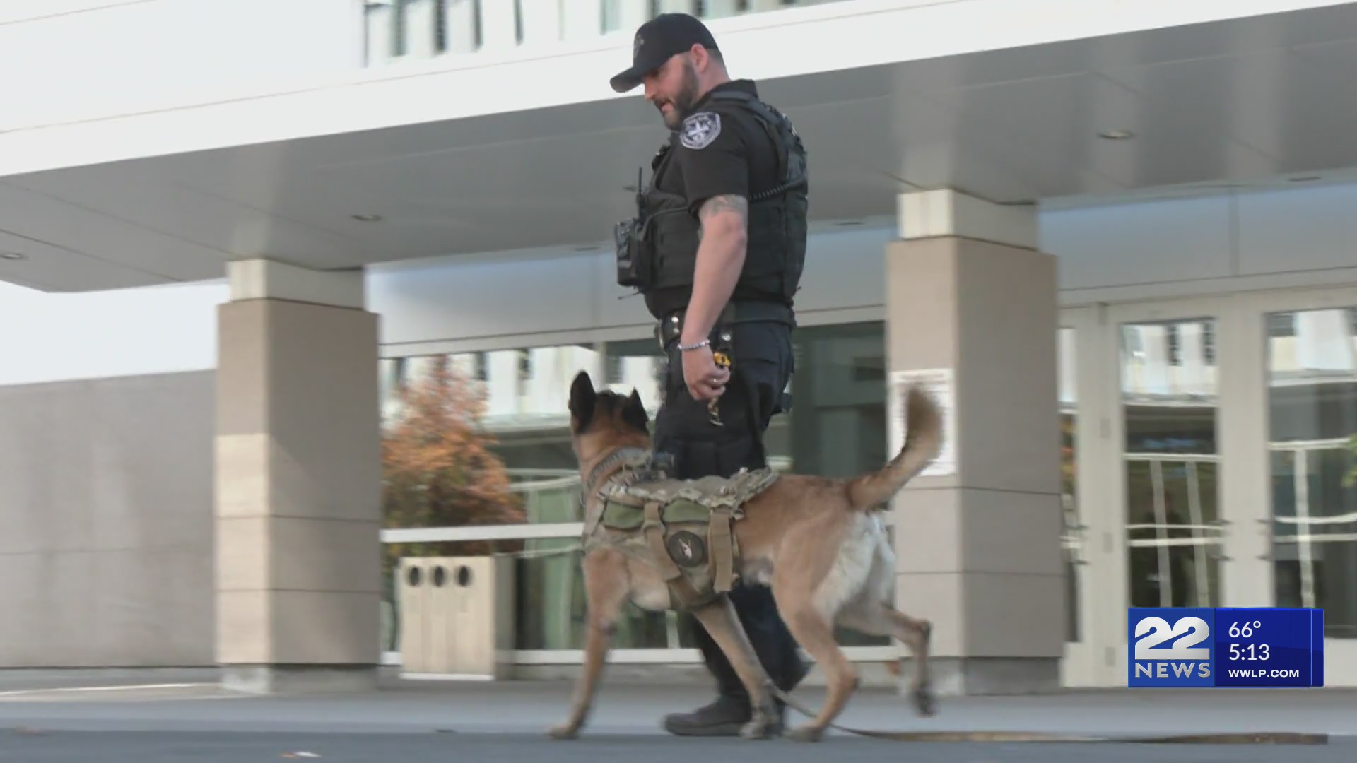 Springfield police K-9 officer, dogs honored with 2026 award