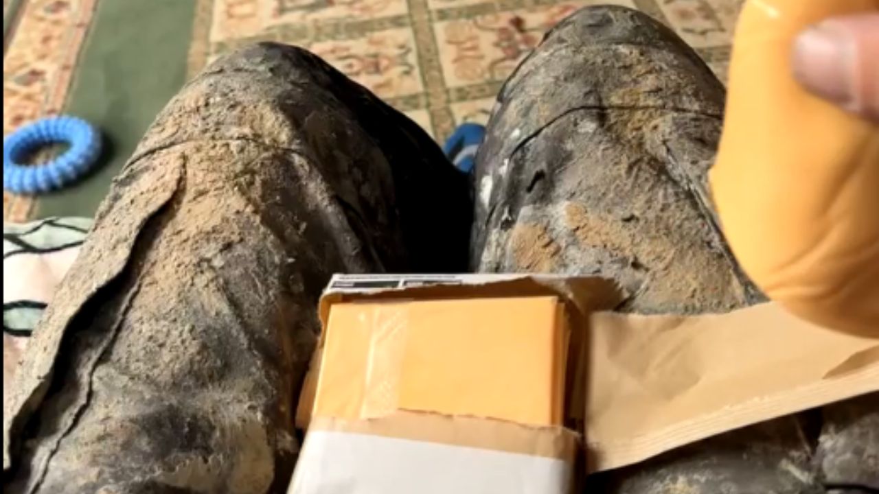 Baby's hilarious confusion after dad perfectly tosses cheese slice