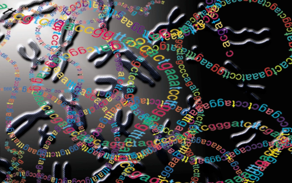 Why the genetic code stays nearly universal