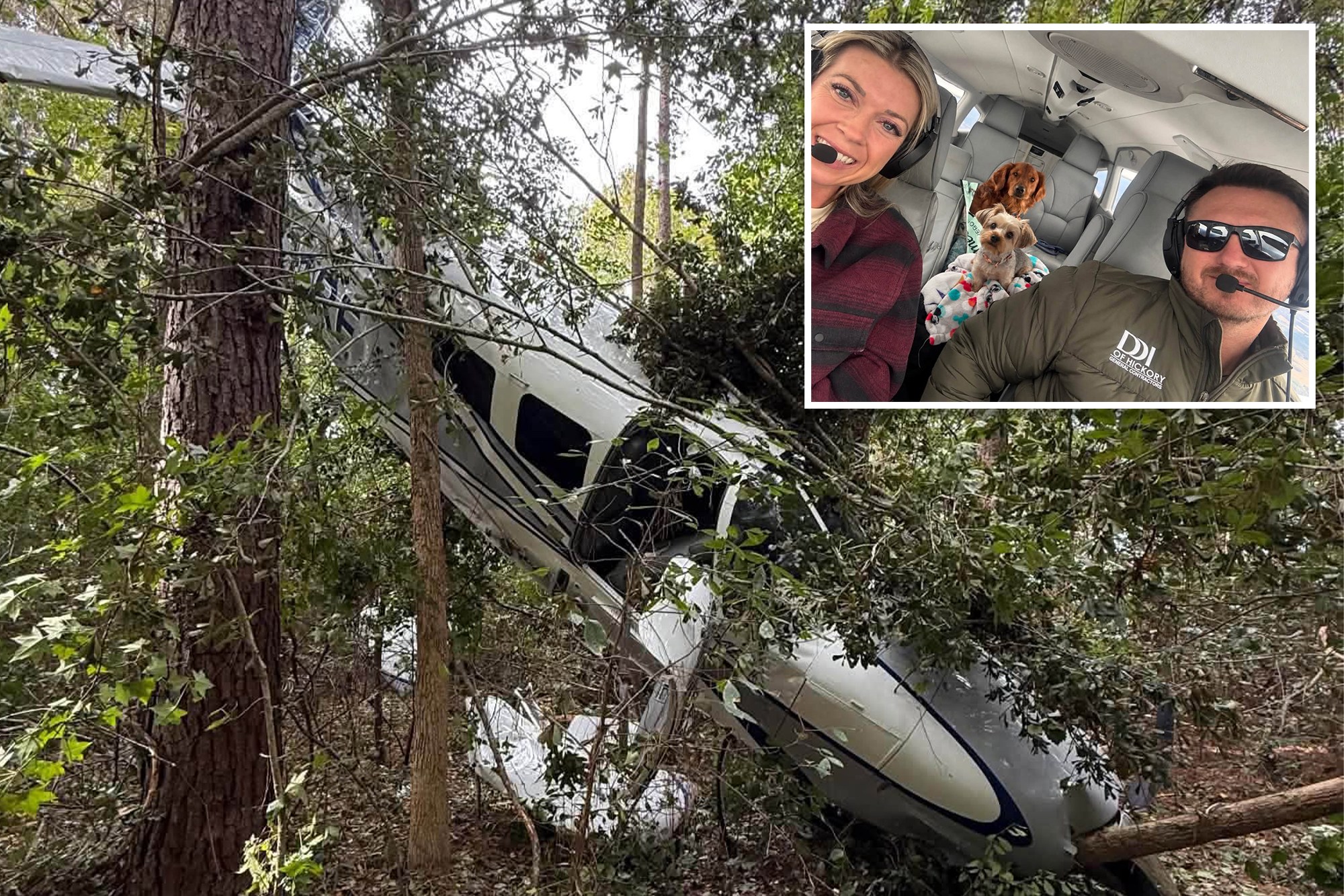 Pilot, wife and dogs survive dramatic tree-top crash landing after ...