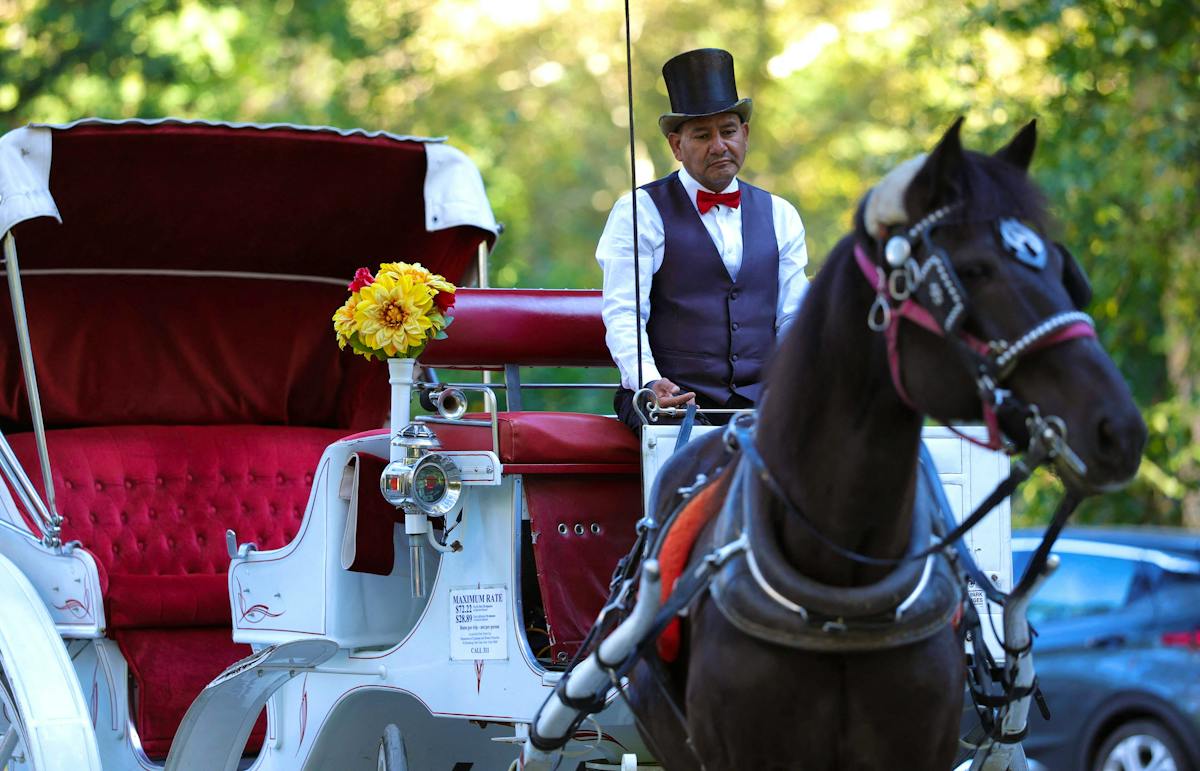 Bien-être animal : clap de fin pour les calèches de Central Park