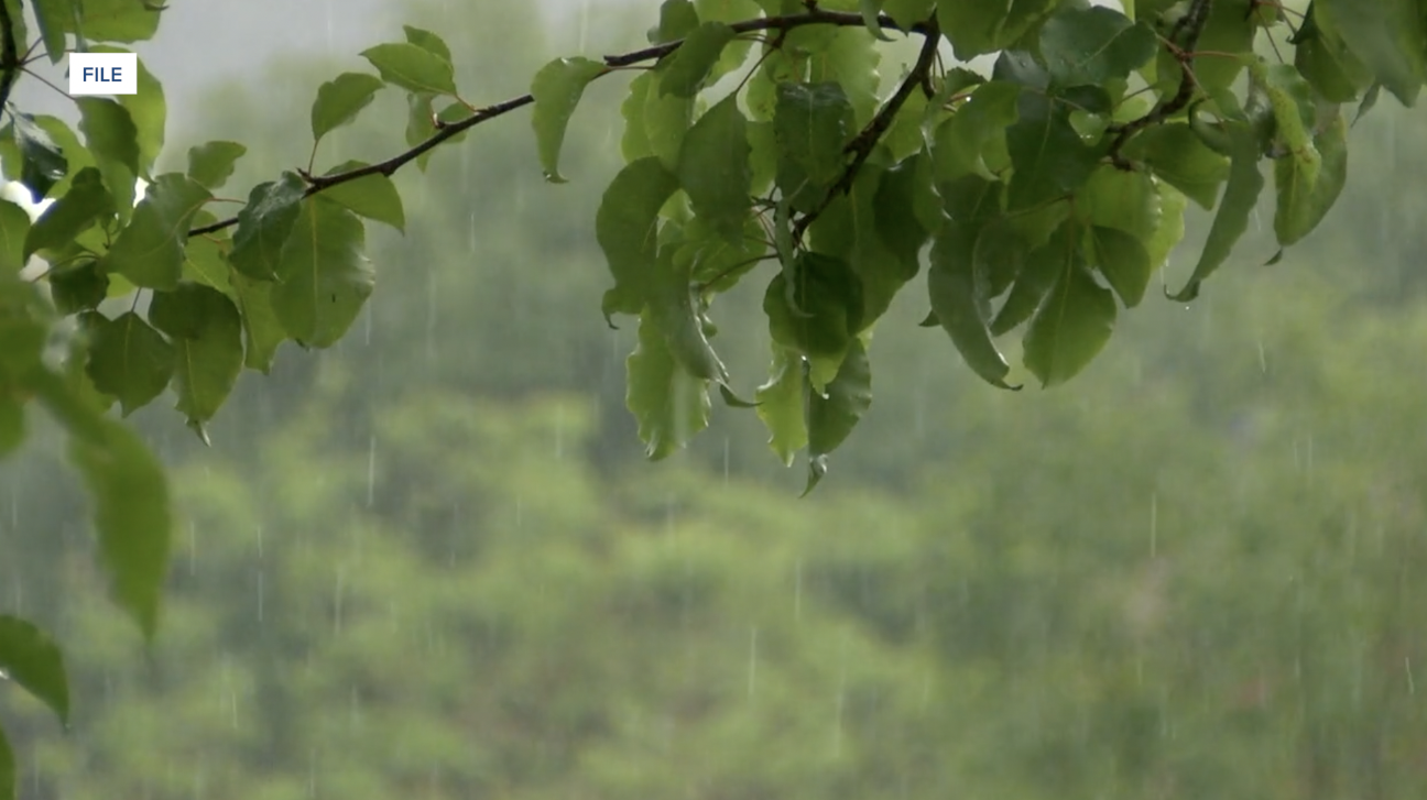 How North County homeowners can protect against flooding before a rainy ...