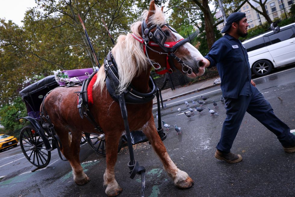 New York City Council officially votes to ban historic horse-drawn carriages